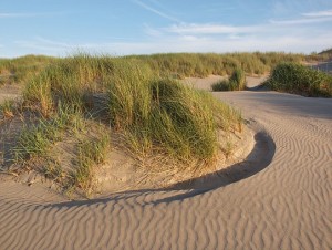 duinen met helmgras en structuren in zand